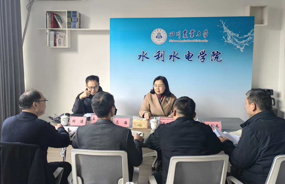公司党委书记庄天慧来院调研